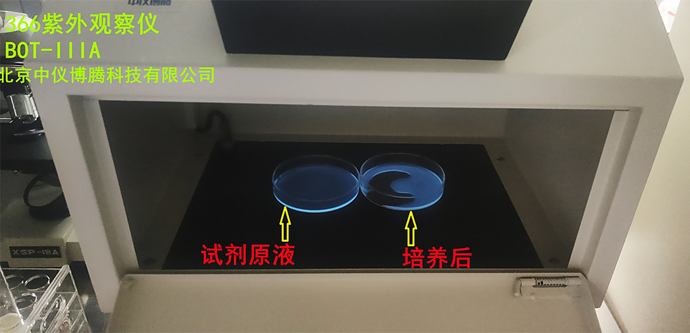 366熒光培養(yǎng) 01_副本網(wǎng)站.jpg 366熒光培養(yǎng) 01_副本網(wǎng)站.jpg